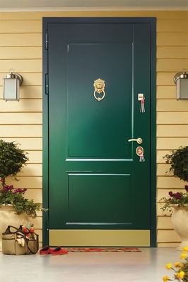 Дверь с кнокером и отбойником Дверь с кнокером и отбойником