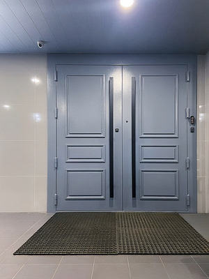 Двупольная дверь с металлобагетом и длинными ручками Двупольная дверь с металлобагетом и длинными ручками