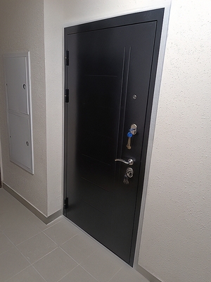 Порошковая дверь с рисунком на металле Порошковая дверь с рисунком на металле