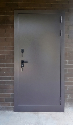 Порошковая входная дверь