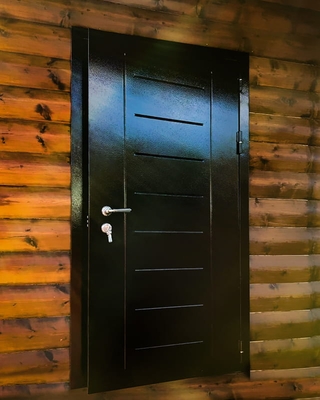 Порошковая дверь с рисунком на металле